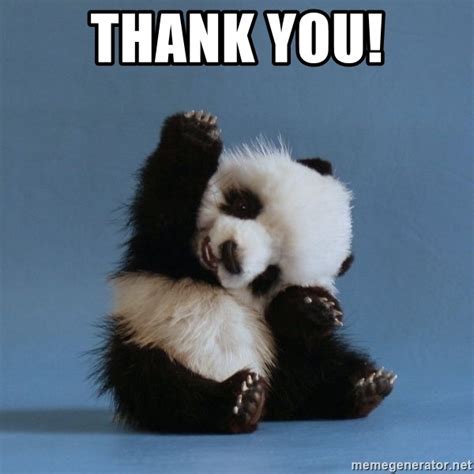 Thanks you panda.jpg