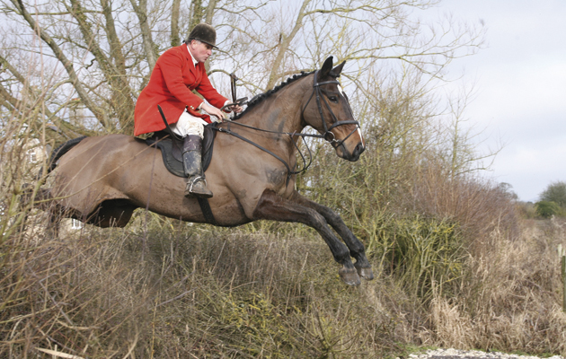 The-best-hunting-horse-goes-well-over-hedges.jpg