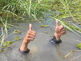 thumbs in the pond.jpg