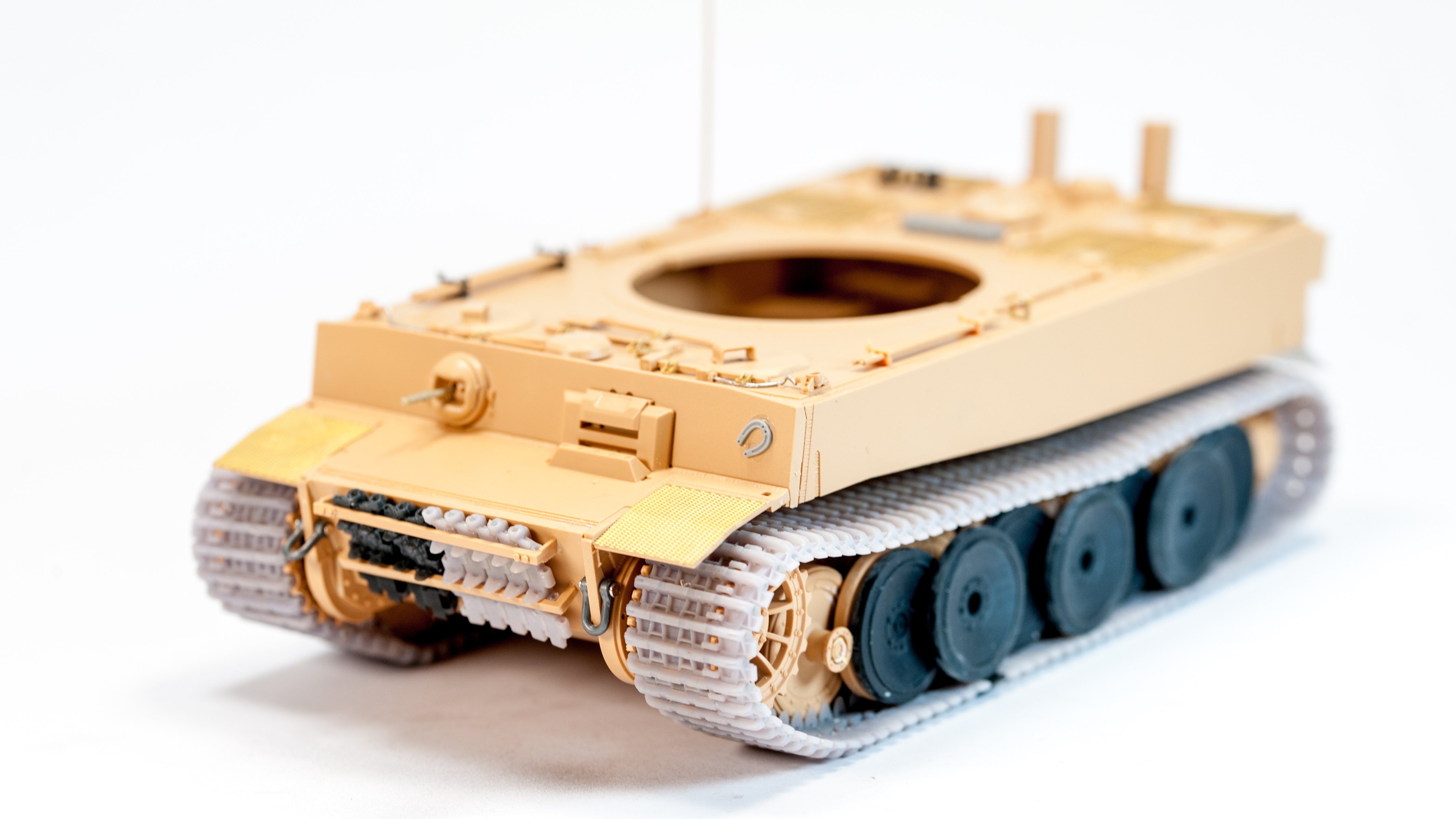 Tiger 100-12.jpg