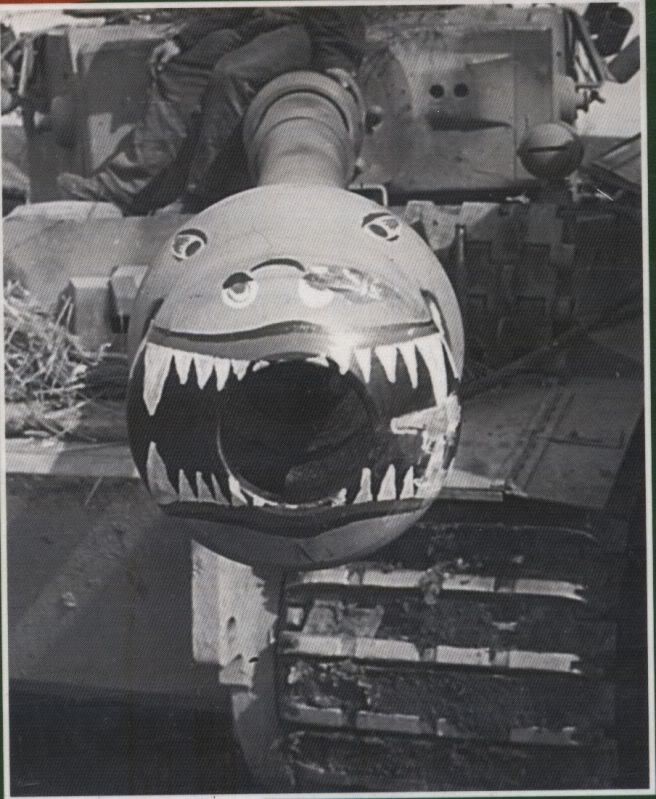 Tiger I snake head.jpg