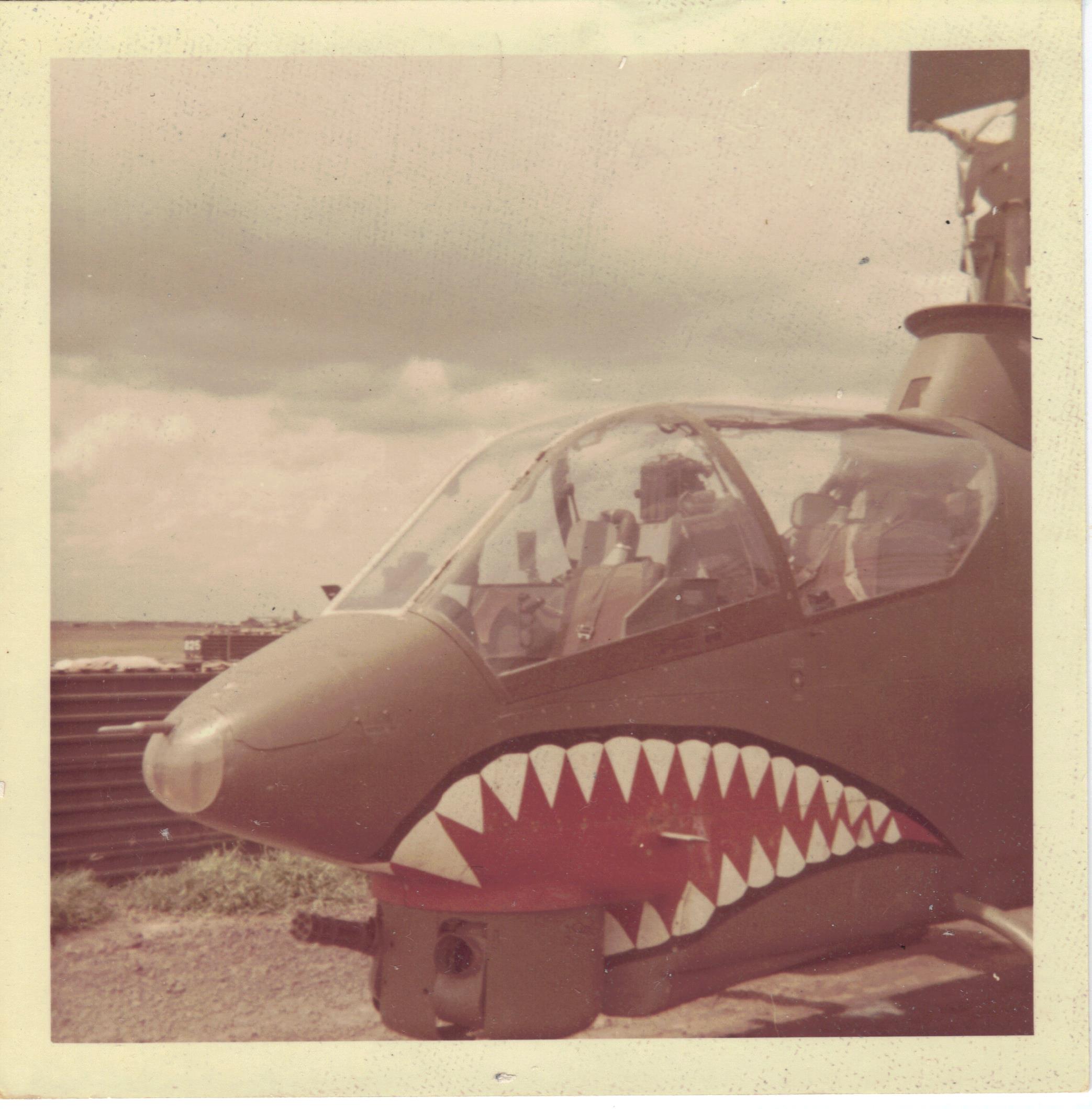 Tigershark teeth 001.jpg