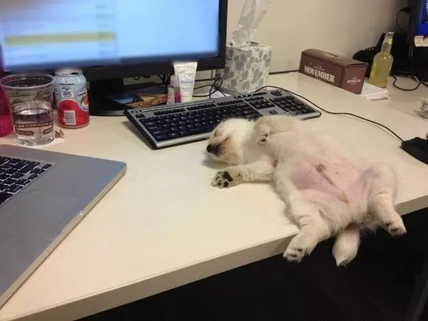 tired.jpg