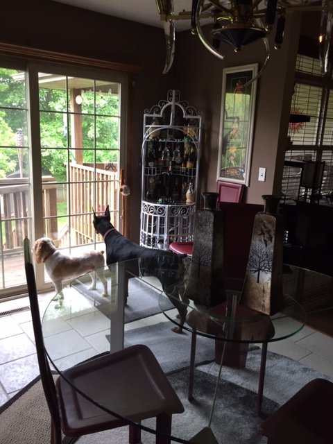 To rear deck.JPG To rear deck.JPG