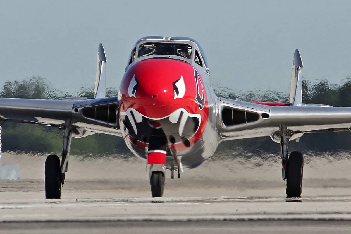 Vampire 251476186_689648598672744_6698605541839826639_n.png