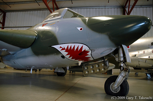 Vampire 3898949550_aa37a58894.jpg