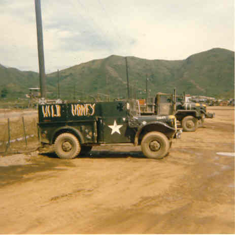 Wild honey m37vietnam1rs9-vi.jpg