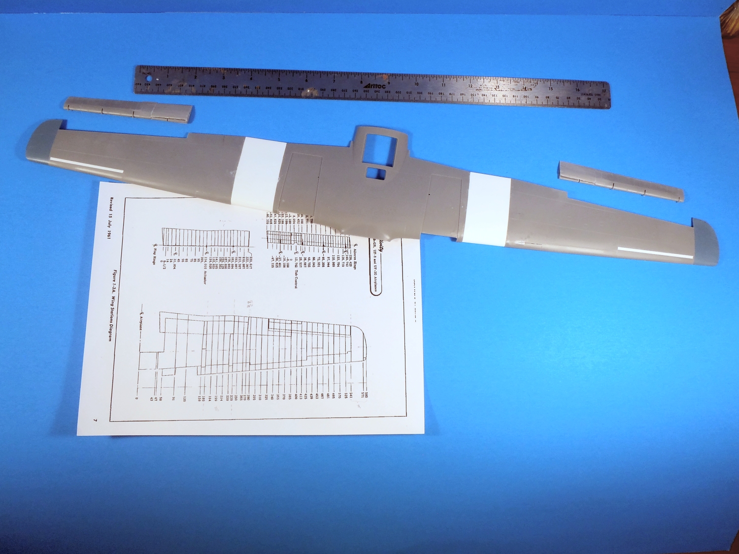 wing 4.jpg