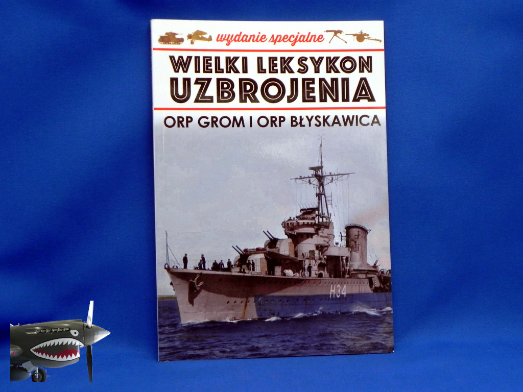 WLUSpecialShipsGromAndBlyskawica.JPG
