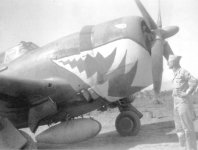 P-47 22 Thunderbolt525thFS86thF.jpg