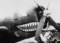P-47C-5-RE 41-6380 448thBGSeethingsummer1944.jpg