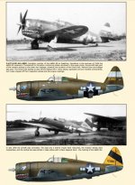 P-47C-5-RE 41-6380 448thBGSeethingsummer1944_zps9da1f9ea.jpg