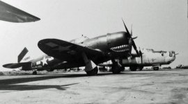 P-47C-5-RE 41-6380.jpg