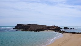 DSC02954.jpg