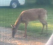 20250522_063953.jpg