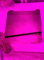 20250615_183925.jpg
