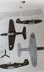 1000019245.jpg