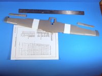 wing 4.jpg