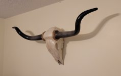 20230707_163011.jpg