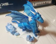 20250904_101939.jpg