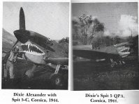 Spitfire Mk Vc trop USAAF Chappie.jpg