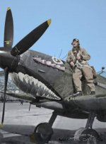 Spitfire Mk IXc Greek LF Mk IXc scrubelos Spit Nelly.jpg