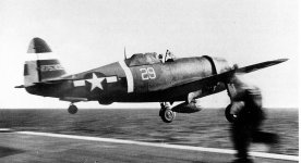 P-47D 42-75302 318 FG 78 FS ManilaBay6.jpg