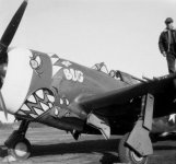 P-47D bugnorisgraser575px.jpg
