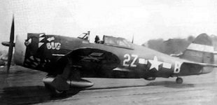 P-47D bugnorisgraser960px.jpg