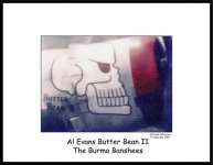 P-47D Butter Bean Photo.jpg