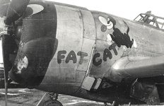 P-47D fat cat zoom.jpg