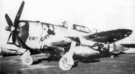 P-47D Fat_Cat 1.jpg
