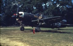 P-47D Razor 27164491_10212972622003855_3131372556574487014_o.jpg