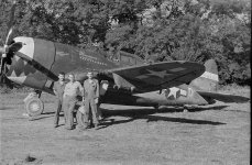 P-47D Razor 27336912_10212972607803500_139373597978334668_n.jpg