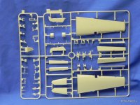 3204 Sprue C1.JPG