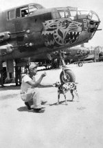 B-25D 1044299_10200693455632370_1175570450_n.jpg