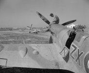 Spitfire_Mk_IX_145_Squadron_RAF_at_Pachino_Sicily.jpg