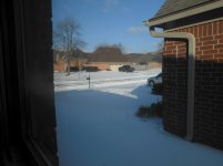 Snow Sat 2026-01-31.jpg