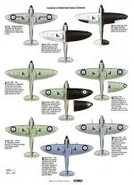 Spit colours (1).jpg