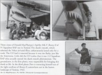 Spitfire Mk Vb Breezy II RAF 91th Squadron Tnez 1943.jpg