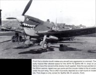 Spitfire Mk VC USAAF bocas003.jpg