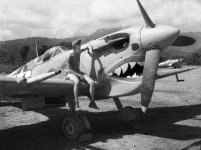 Spitfire Mk Vc 85th Unidentified-on-Supermarine-Spitfire.-Henry-O.-Tomlin-collection-via-Jeane...jpg