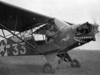L-4grasshopper1.jpg