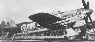 Typhoonshark4.jpg