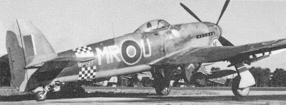 Typhoonshark3.jpg