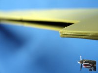 Piper 002.jpg