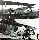 DH82ATigerMoth.jpg