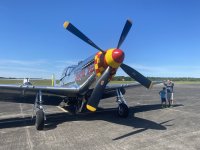 IMG_2138.jpeg