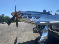 IMG_2132.jpeg