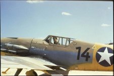 Irmgard 7.jpg